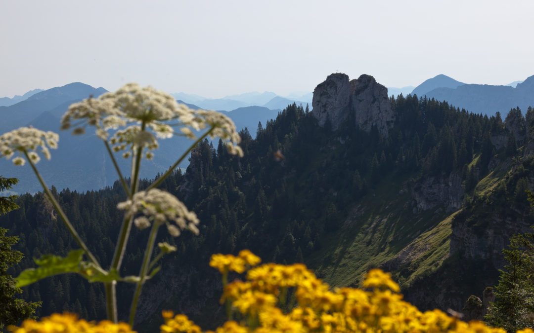 EttalerManndl-8476-1080x675